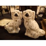 Pair of Victorian Staffordshire dogs H: 30 cm