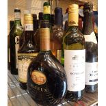 Seventeen bottles of mixed alcohol including wines Martini liquor etc