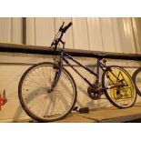 Ladies Omega 15 speed Magma mountain bike