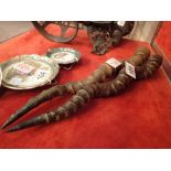 Pair of spiral animal horns