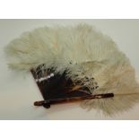 Vintage Ostrich feather fan