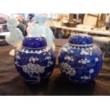 Pair of small lidded Prunus ginger jars