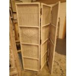 Bifold cane screen