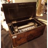 German walnut cased Victorian music box