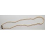 Single strand of graduated pearls c1930 having a ( presumed and marks indistinct ) gold and