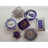 Mixed 1950s nursing badges