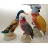 Two Beswick cockatoos and a Beswick duck tallest 30 cm CONDITION REPORT: Duck has