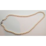 Single strand of pearls having a ( presumed marks indistinct ) white gold and diamond set clasp L: