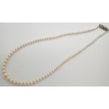 Vintage single strand of graduated pearls having a silver clasp L: 44 cm