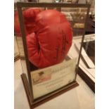 Signed Joe Frazier boxing glove in case from Allstar Signings with added word "Smokin" with CoA and