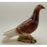 Beswick brown pigeon model 1383 H: 20 cm