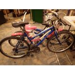 Lion 15 gear mountain bike