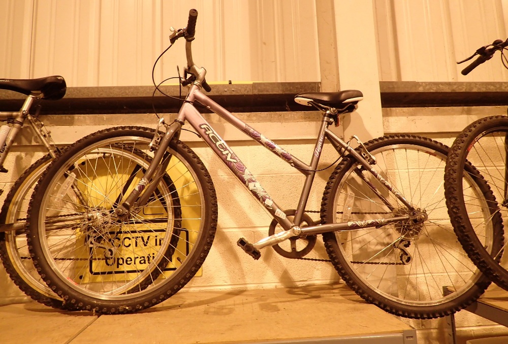 Ladies Raleigh action mountain bike 6 speed