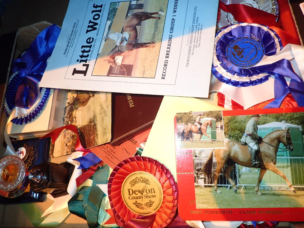 Box of horse related rosettes and epheme