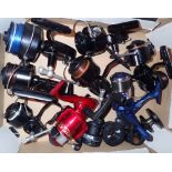 Nine coarse fishing reels and a fly reel