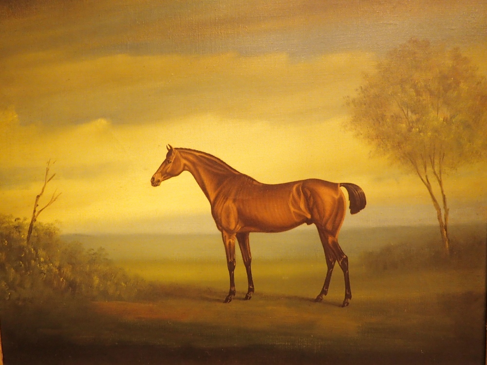 Victorian oil on canvas study of a racehorse 60 x 50 cm