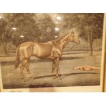 Framed and glazed limited edtion 705 / 750 Richard Stone Reeves affirmed racehorse 58 x 45 cm