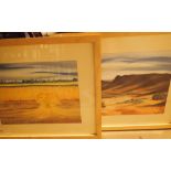 Two original pastel drawings framed and glazed by a local artist