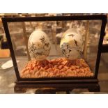 Pair of glass cased Oriental hand painted eggs
