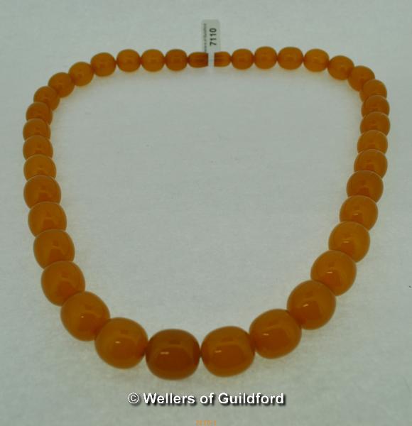 Russian Butterscotch egg yolk amber necklace, 54g - Image 2 of 2