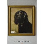 Alix Jennings, mixed media, "Sammy", portrait of a working cocker spaniel, oil on canvas, signed