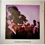 The Rolling Stones - Photo of the Rolling Stones playing cricket in a field, including Brian