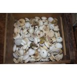 BOX OF MIXED WHITE PORCELAIN HANDLES