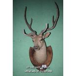 MOUNTED RED DEER HEAD