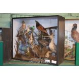 CASED ELEVEN TAXIDERMY BIRDS