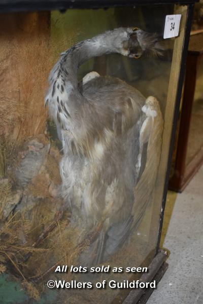 CASED TAXIDERMY OF A GREY HERON, CASE 61CM HIGH - Image 2 of 2