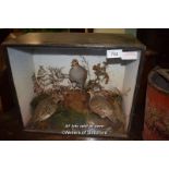 CASED TAXIDERMY OF THREE BIRDS