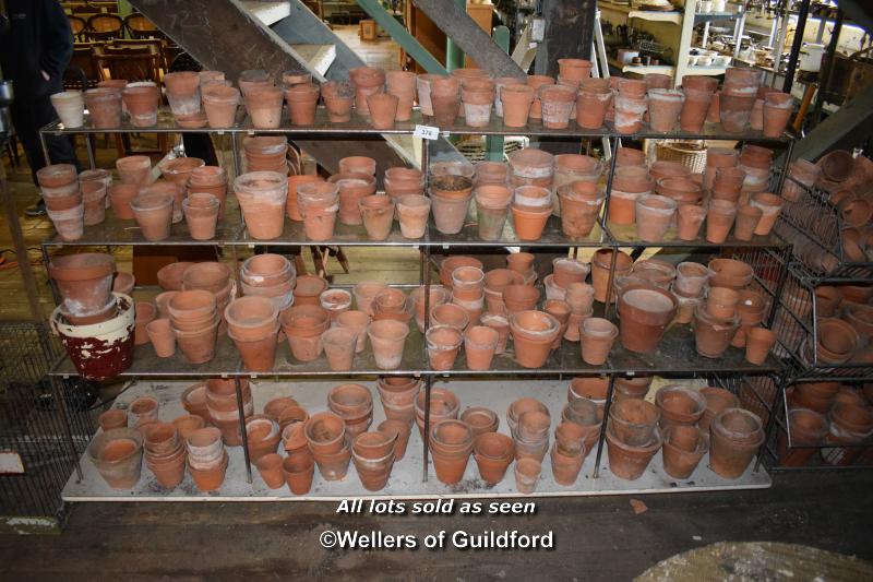 LARGE METAL AND GLASS SHELVING UNIT COMPLETE WITH A LARGE QUANTITY OF TERRACOTTA PLANT POTS