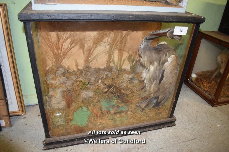 CASED TAXIDERMY OF A GREY HERON, CASE 61CM HIGH