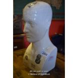 PHRENOLOGY HEAD 48CM HIGH