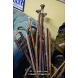 QUANTITY OF WALKING CANES, SHOOTING STICKS AND GOLF CLUBS
