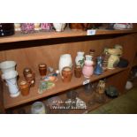 SMALL SHELF OF MIXED PORCELAIN COLLECTIBLES