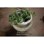 COMPOSTITION STONE PLANTER