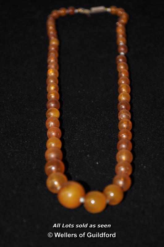 A graduated amber bead necklace, approx 41cm.
