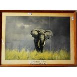 *After David Shepherd, print, Wise Old Elephant, signed in pencil, 52 x 76cm.