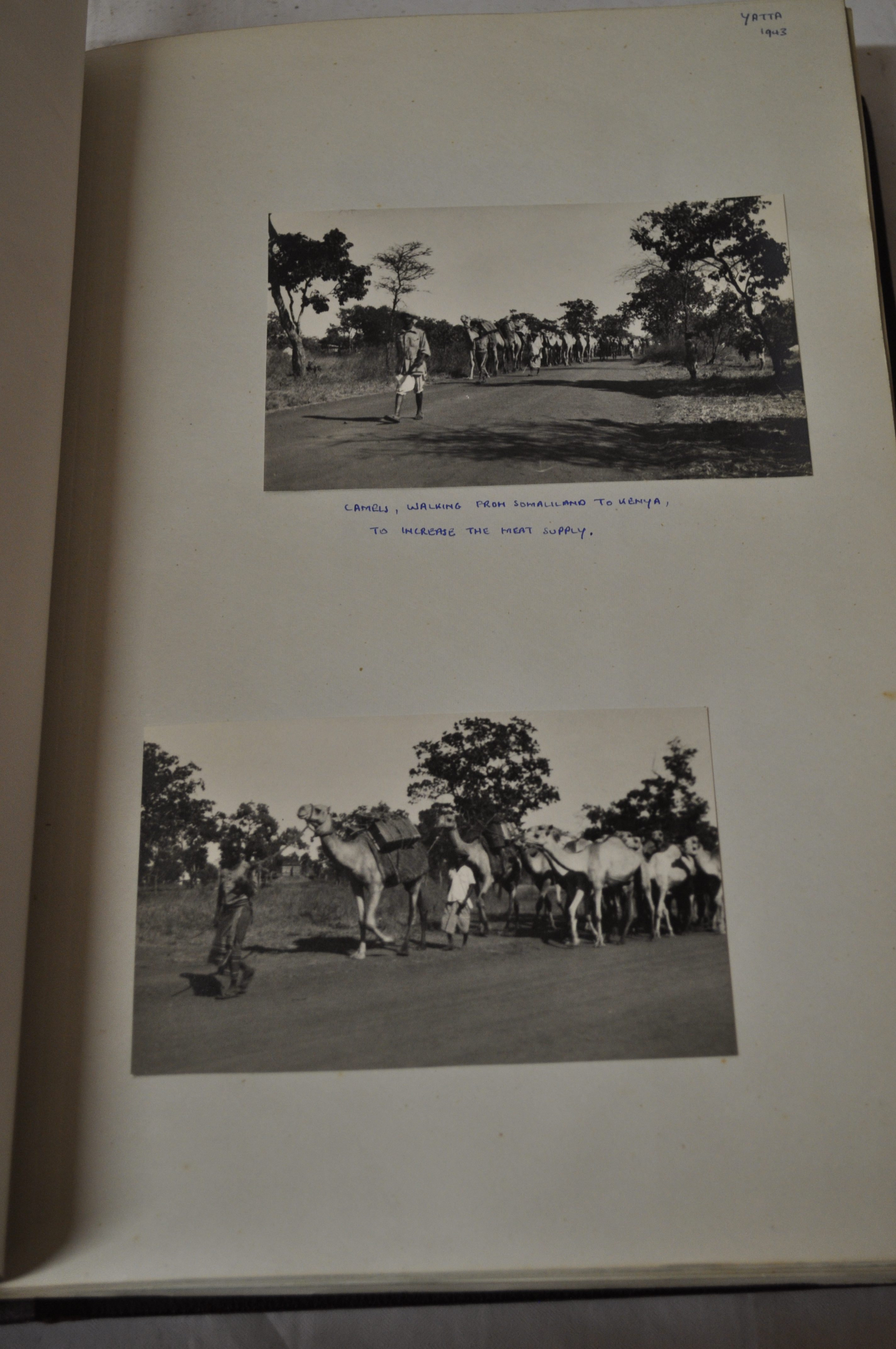 Photograph/scrap album of the King~s African Rifles^ 1942-1946^ including campaign map^ brochures^ - Image 5 of 11