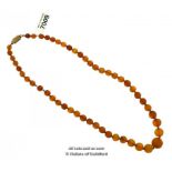 Amber necklace, graduated round beads, length 41cm, weight 12 grams