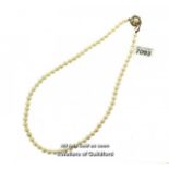 Freshwater pearl necklace, with yellow metal clasp tested as 9ct, length 37cm
