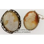 Two shell camoes, both showing profile of a lady, one with a 9ct gold border, the other with a