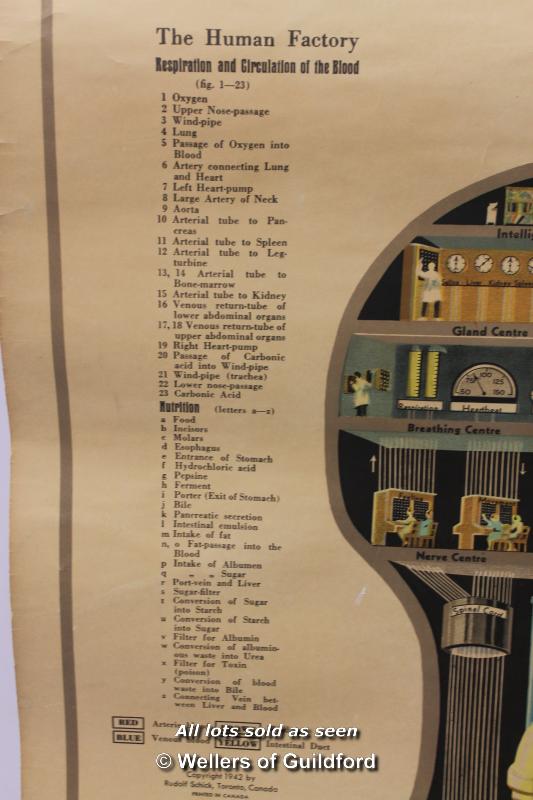 The Human Factory, a stylised scroll form diagram of the inner workings of the human body, copyright - Image 3 of 5