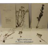 *Herbarium of approx 92 pressed plants, scientific collection circa 1967 (Lot subject to VAT) (