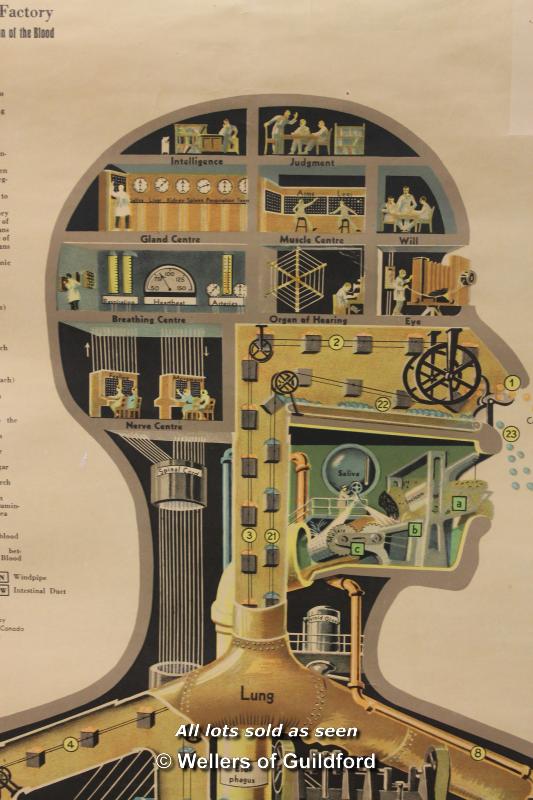 The Human Factory, a stylised scroll form diagram of the inner workings of the human body, copyright - Image 4 of 5