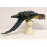 Royal Dux blue Macaw, 42 x 20cm
