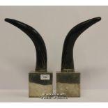 A pair of Airedeisur horns mounted on silver plated square blocks, 32cm.