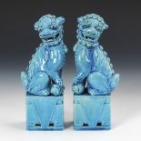 Paar türkisblau glasierte Palastlöwen.China, Keramik, wohl 20. Jh. H 25 cm. Auf rechteckigem