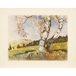HEINMANN, Hans Richard: Birken im Erzgebirge.Farblithographie, Bleistiftsignatur, Platte 35,5 x 46,5